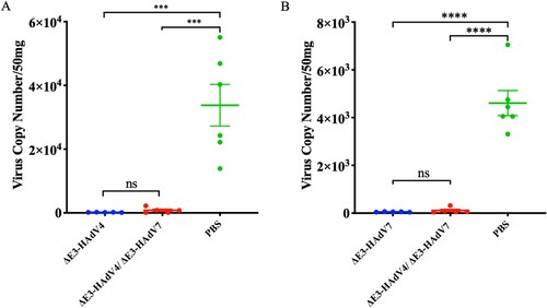 Figure 5. Protection against wild-type adenovirus challenge in vaccinated mice. 4 weeks after vaccination, mice were challenged. qPCR was used to determine the viral genome copies per 50 mg lung tissues on days 3 and 5 post challenge respectively. (A) Viral loads in lung tissues challenged by Wt-HAdV4; (B) Viral loads in lung tissues challenged by Wt-HAdV7. Each spot represents an individual animal. One-way ANOVA was applied to compare the differences between groups. ns, no significance; *, P < 0.05; **, P < 0.01; ***, P < 0.001; ****, P < 0.0001.