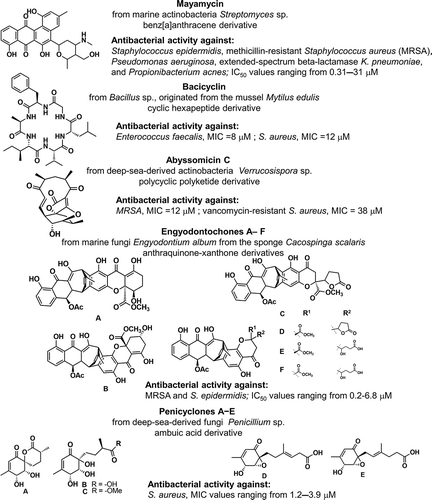 Figure 3. A few examples of antibacterial MNPs and derivatives isolated from marine bacteria and fungi.