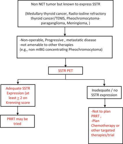 Figure 14. Flow chart depicting the applicability of PRRT in management of metastatic/inoperable non- GEP-NEN tumors.