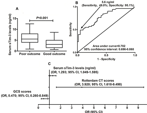 Figure 8 Serum soluble T cell immunoglobulin and mucin domain-3 levels and 180-day poor outcome after severe traumatic brain injury. (A) Serum soluble T cell immunoglobulin and mucin domain-3 levels between good outcome patients and those with poor outcome at 180 days after severe traumatic brain injury. Serum soluble T cell immunoglobulin and mucin domain-3 levels were profoundly higher in patients with poor outcome than in those with good outcome (P<0.001). (B) Discriminatory capability of serum soluble T cell immunoglobulin and mucin domain-3 levels for the risk of 180-day poor prognosis after severe traumatic brain injury. Serum soluble T cell immunoglobulin and mucin domain-3 levels significantly discriminated the risk of poor outcome at 180 days after severe traumatic brain injury (P<0.001). (C) Predictors independently associated with 180-day poor prognosis after severe traumatic brain injury. Serum soluble T cell immunoglobulin and mucin domain-3 levels, Glasgow coma scale scores and Rotterdam computed tomography scores were independently associated with poor outcome at 180 days after severe traumatic brain injury (all P<0.05).