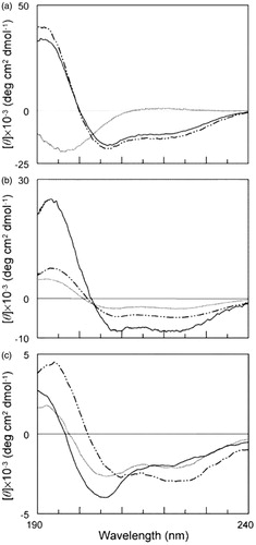 Figure 9. CD spectra of peptide H-Gly-(Nle)2-Gln-Orn-Nle-Gly-(Orn)2-Nle-(Orn)2-Nle-Gly-(Orn)2-Nle-Gly-Tyr-NH2 (a) and the corresponding fullero-peptides H-Fgu-Gly-(Nle)2-Gln-Orn-Nle-Gly-(Orn)2-Nle-(Orn)2-Nle-Gly-(Orn)2-Nle-Gly-Tyr-NH2 (b) and H-Gly-(Nle)2-Gln-Orn-Nle-Gly-(Orn)2-Fgu-(Orn)2-Nle-Gly-(Orn)2-Nle-Gly-Tyr-NH2 (c) at 4 × 10 − 5 M concentration, in aqueous 5 mM phosphate buffer (pH 7) (…) or in the presence of 50% TFE (_._) or 10 mM SDS (s) in phosphate buffer (—). Fgu: fulleropyrrolidino-glutamic acid, see Figure 6. Reprinted with permission from Pantarotto D, et al.Citation34.