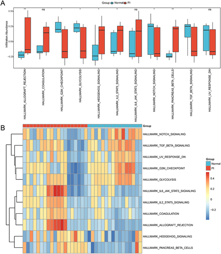 Figure 6 GSVA for the Integrated Dataset. (A) Comparison boxplot of the GSVA results between the PI and control groups. (B) Complex numerical heatmap of the GSVA results in the integrated dataset. The blue color represents the control group, and the red color represents the PI group. “ns” signifies no statistically significant; “*” signifies p-value < 0.05; “**” signifies p-value < 0.01.