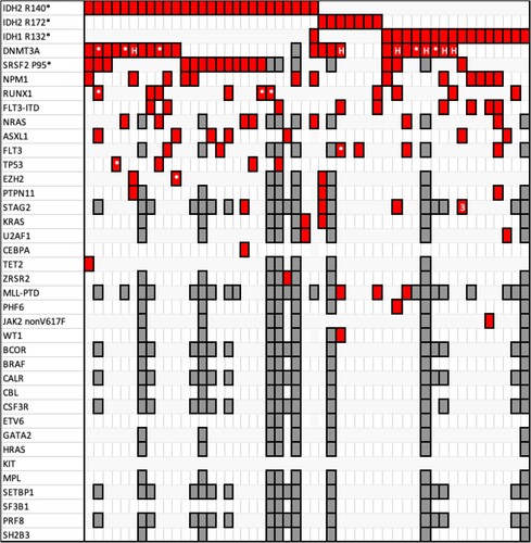 Figure 1. Each column corresponds to one patient. Red cages signal that the horizontally corresponding mutation is present in the respective patient; the symbols * or # within a red cage denote that 2 or 3 different mutations of the corresponding gene are present. Gray cages signify that the corresponding gene was not analyzed in the respective patient. DNMT3A mutations (including the hotspot R882 codon mutations, which are shown with an H, and numerous others), SRSF2 codon P95 mutations and NPM1 W288Cfs*12 mutations are the most frequent in the cohort.