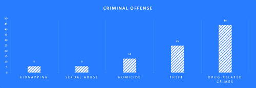Figure 20. Criminal offense.