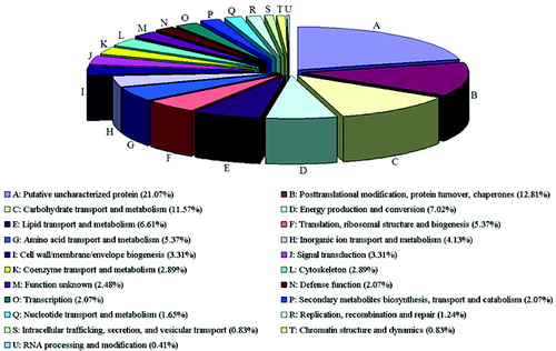 Figure 3. Functional classification of sequences with the homologues in the BLASTX analyses (e-values < 0.001).