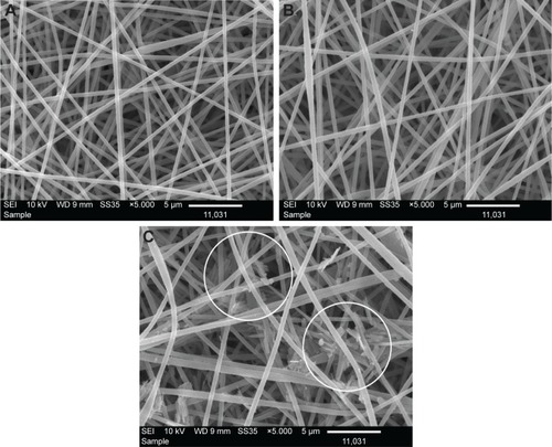 Figure 3 SEM images of (A) PAN nanofibers, (B) PAN/AgSD (ES) nanofibers, and (C) PAN/AgSD (immersion) nanofibers.Abbreviations: SEM, scanning electron microscope; PAN, polyacrylonitrile; AgSD, silver sulfadiazine; ES, in situ electrospun.