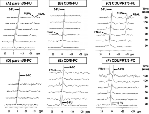 Figure 3.  Representative, 1D 19F MR spectra of the whole tumor, demonstrating the uptake and metabolism of 5-FU (upper panel) and 5-FC (lower panel) in R3227-AT parental tumors (A, D), R3327-CD/mDsRed tumors (B, E), and R3327-CD/UPRT/mDsRed tumors (C, F). Each MR spectrum was averaged over 600 acquisitions (acquisition time 10 min/spectrum). The start of the acquisition coincided with the i.v. injection of 150 mg/kg 5-FC or 5-FU via a tail vein catheter. The chemical shift of 5-FU is normalized to 0 ppm with 5-FC at 1 ppm and FNuc at 4.8-5 ppm. Signal assigned are: 5-FU, 5-fluorouracil; 5-FC, 5-fluorocytosine; FNuc, fluoronucleotides; FUPA, α-fluoro-ureidopropionic acid; FBAL, α-fluoro-β-alanine.