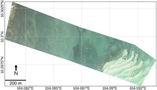 Figure 3. The orthomosaic of the UAV images.