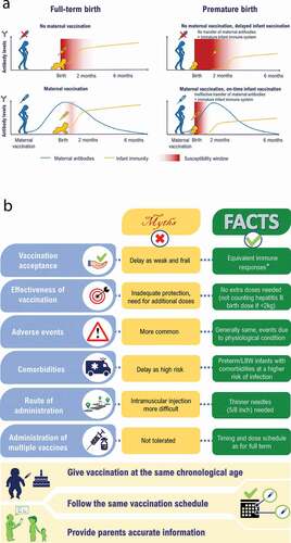 Figure 2. Vaccination in preterm and LBW infants in India (A) Window of susceptibility to disease (B) Barriers to vaccination due to knowledge gaps among HCPs and parents ± ‡.