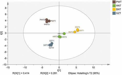 Figure 1. Principal component analysis (PCA) model displaying separation related to origins based on 27 minerals. PWT, Pingwu Fuzhuan brick tea; HNT, Hunan Fuzhuan brick tea; SNT, Shaanxi Fuzhuan brick tea; GZT, Guizhou Fuzhuan brick tea. R2X[Citation1] refers to the fraction of explained variation in principal component 1 (t[Citation1]) and R2X[Citation2] the fraction of explains variation in PC2 (t[Citation2])