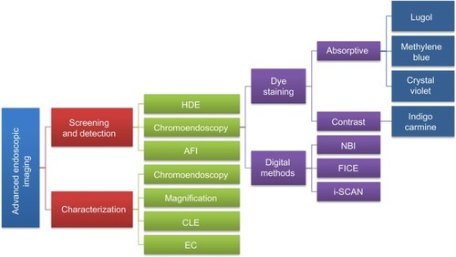 Figure 1 Goal-oriented classification of image-enhancement, magnifying, and microscopic techniques currently available and approved for clinical use.