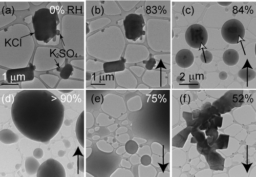 FIG. 8 Particles from an equimolar solution of KCl & K2SO4 deposited onto a lacey-carbon TEM grid. Images (c) through (f) are at the same magnification. Particle compositions are indicated with the black arrows in (a). Relative humidity was increased from (a) 0% to (d) >90% and then decreased to (f) 52%. Solid phases, indicated by the open black arrows, remain visible from an RH of (c) 84% to (d) >90% and are surrounded by a layer of water.