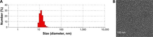 Figure 3 (A) Droplet size distribution and (B) TEM image of HP-beta-CD/PMX/DCK/P188-NE.Notes: Scale bar represents 100 nm. HP-beta-CD/PMX/DCK/P188, ion-pairing complex between PMX and DCK containing HP-beta-CD and P188; HP-beta-CD/PMX/DCK/P188-NE, HP-beta-CD/PMX/DCK/P188-loaded nanoemulsion.Abbreviations: DCK, Nα-deoxycholyl-l-lysyl-methylester; HP-beta-CD, 2-hydroxypropyl-beta-cyclodextrin; PMX, pemetrexed; P188, poloxamer 188; TEM, transmission electron microscopy.