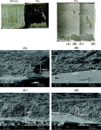 Figure 17. SEM and macroscope photographs of adhesive fracture surfaces in Al 2024 adhesive single-lap joint ( mm and J, measurements in m).