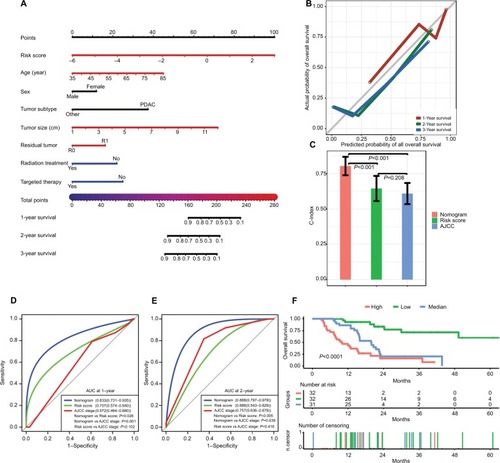 Figure 5 Performance of the nomogram in predicting prognosis in the TCGA dataset.Notes: (A) Nomogram for predicting 1-, 2-, and 3-year OS in PC patients. (B) Calibration plot for 1-, 2-, and 3-year OS of the nomogram. (C) Comparison of the predictive power of the nomogram model, AJCC stage, and risk score, as assessed using C-index. (D, E) Comparison of the predictive power of the nomogram model, AJCC stage, and risk score by AUC at 1 and 2 years. (F) Kaplan–Meier analysis of risk groups stratified using total point of the proposed nomogram. Other, including neuroendocrine carcinoma, colloid carcinomas, acinar cell carcinoma, and adenocarcinoma not otherwise specified; vertical bars, 95% CI.Abbreviations: AJCC, the American Joint Committee on Cancer; AUC, area under the curve; C-index, concordance index; OS, overall survival; PC, pancreatic cancer; PDAC, pancreatic ductal adenocarcinoma; TCGA, The Genome Cancer Atlas.