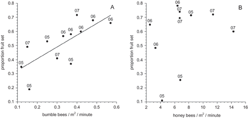 FIGURE 2 The relationship between bumble bee forager density (A) and honey bee forager density (B) measured 2–3 times during bloom in each field during each year. The numeral adjacent to each data point denotes the year.