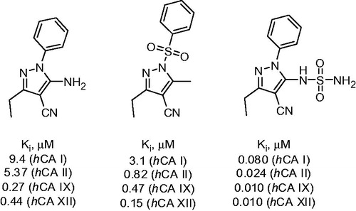 Figure 1. Most potent CA inhibitors reported by Allouche et alCitation16.