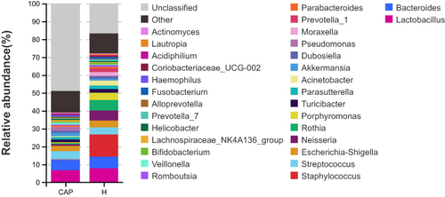 Figure 3 Relative abundances of the top 30 bacterial genera detected in two groups.
