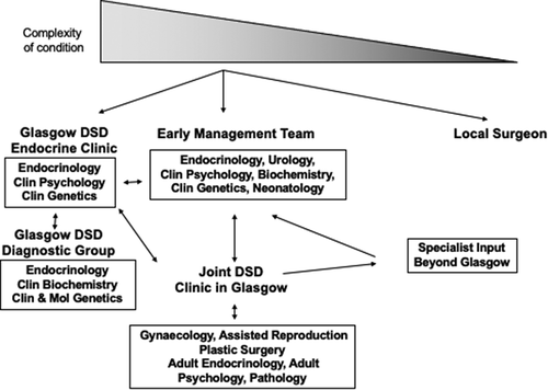 Figure 2. Structure of DSD care pathways within the West of Scotland. Abbreviations: clin, clinical; DSD, disorder/difference of sex development.