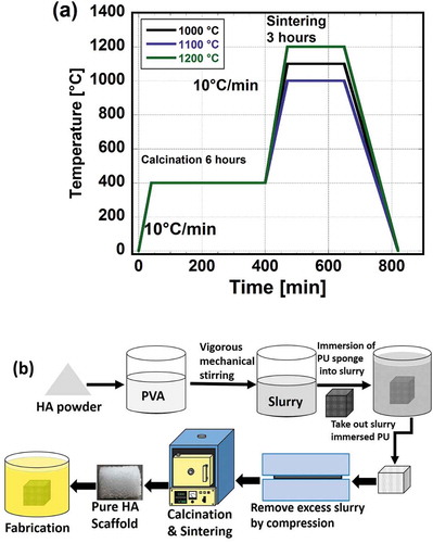 Figure 1. Schematic of the sintering processes (a) and synthesis to the fabrication of HAp porous composite scaffolds (b).