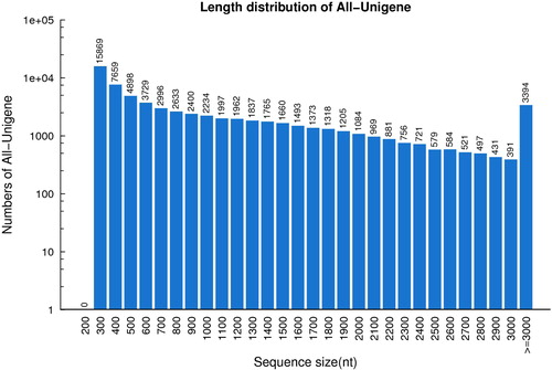 Figure 2. Sequence length distribution of All-Unigenes in ‘Sunna’ lingonberry fruit transcriptomes.