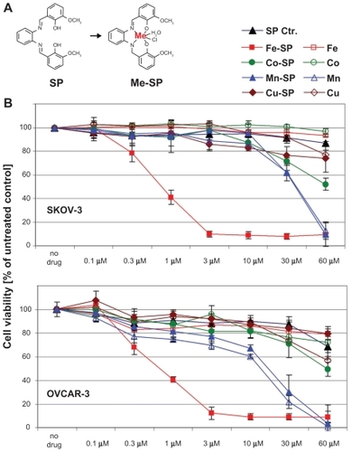 Figure 1 Comparative analysis of the cytotoxic effect of various metallo-salophenes on platinum resistant ovarian cancer cell lines. (A) Structure of salophene ligand (SP) and metal-salophene complex (Me-SP). (B) Human ovarian cancer cells (SKOV-3, OVCAR-3) were treated for 24 h with various concentrations (0.1–60 μM) of either newly synthesized transition metal salophene complexes (Fe(III)-SP, Co(III)-SP, Mn(II)-SP, and Cu(II)-SP) or the respective metal chloride alone (Fe3+, Co3+, Mn2+, Cu2+) or the noncomplexed parent compound (SP). The MTS viability assay was carried out as described (Materials and methods). Experiments were performed in triplicates; data are expressed as the mean of the triplicate determinations (X ± SD) of a representative experiment in % cell viability of untreated cells (100%).