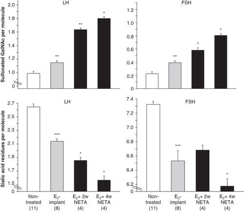 Figure 3.  Mean ± SEM of average number of sialic acid (lower panels) and sulfonated GalNAc (upper panels) residues per serum LH (left panels) and FSH (right panels) molecule in four groups of post-menopausal women. NETA was given to E2-implant-treated women, and sera were taken at the start (E2-implant) and after 2 (E2+2wNETA) and 4 (E2+4wNETA) weeks of treatment (non-treated = a reference group of non-treated post-menopausal women). Statistical comparison with preceding group. *P < 0.05; **P < 0.01; ***P < 0.001. Figures in parentheses indicate number of women in each group.