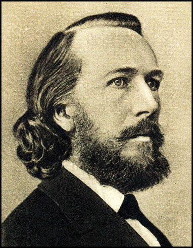 Figure 1. The German evolutionary biologist, artist and philosopher of science Ernst Haeckel (1834–1919). The image was taken in 1872. The then 38-year-old Professor was already famous for his books and lectures on Darwinian evolution and related topics (U. Kutschera, private collection)
