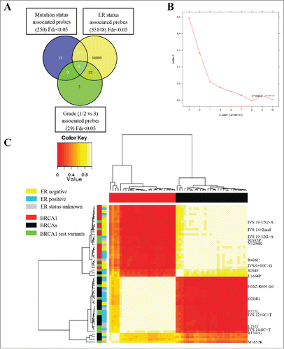 Figure 2. Methylation array (450K) analysis defines pathogenic and neutral variants. (A) Venn diagram representing the comparison of significant probe lists (FDR <0.05), showing 23 probes only significant in the mutation status analysis. (B) Consensus clustering using 18 probes with a difference in methylation between BRCA1 mutated and BRCAx greater than 5% identified two main clusters, as shown by kmeans plot. (C) The resulting correlation matrix from these two clusters shows that these clusters correlate with mutation status. Unclassified variants in green clustered with either the BRCA1 tumors or the BRCAx tumors.