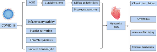 Figure 1 Etiology and Symptoms of Acute Effects of Viral Infection on the Cardiovascular System.
