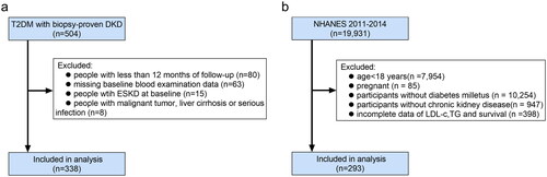 Figure 1. Flowchart of included patients in this study. (a) The DKD cohort; (b) the NHANES DM-CKD cohort. DM: diabetes mellitus; DKD: diabetic kidney disease; CKD: chronic kidney disease; NHANES: National Health and Nutrition Examination Survey; ESKD: end-stage kidney disease; LDL-c: low-density lipoprotein cholesterol; TG: triglycerides.