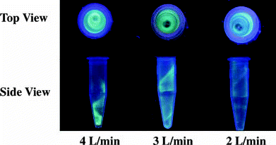 FIG. 2 Photographs showing the top and side views of particle deposition patterns in microcentrifuge tubes (Tube e) at 2, 3, and 4 l/min.