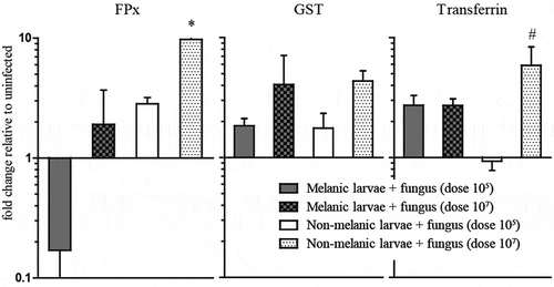 Figure 5. Detoxification-associated gene expression in Galleria mellonella morphs exposed to Metarhizium brunneum. Antioxidant enzymes, peroxidase (FPx) (a), glutathione-S-transferase (GST) (b) and transferrin, (c) in the integuments of M and NM larvae at 72 h post fungal infection. The asterisk [*] indicates a significant difference (p < 0.05) between NM (107) and M (105). The hashtag [#] indicates a significant difference (p < 0.01) between NM (107) and NM (105).