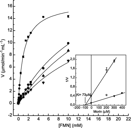 Figure 4 Inhibition of FMN hydrolysis by morin. The enzyme activity was determined as described in Materials and methods by varying the concentrations of FMN as substrate, in the absence (▪) and in the presence of 200 (•), 300 (▴) and 400 μM (▾) morin. Inset. Dixon plot for the determination of the Ki value for morin. Bars represent the s.e. of triplicate determinations.