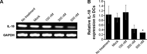 Figure 4 In vitro gene silencing effect of PLGA NPs.Notes: BMDCs (2×106 cells) were unmanipulated (no treatment) or transfected with empty PLGA NPs (mock) or with 100 nM, 300 nM, or 500 nM PINs for 24 hours. Then, the DCs were stimulated with 5 µg/mL PCNs for 24 hours. The cells were assessed for IL-10 mRNA expression via (A) RT-PCR and (B) real-time PCR (*P<0.05 vs the Mock group).Abbreviations: PLGA, poly(lactic-co-glycolic acid); NP, nanoparticle; BMDC, bone marrow-derived dendritic cell; IL, interleukin; mRNA, messenger RNA; RT-PCR, reverse transcriptase–polymerase chain reaction; siRNA, small interfering RNA; GAPDH, glyceraldehyde 3-phosphate dehydrogenase.