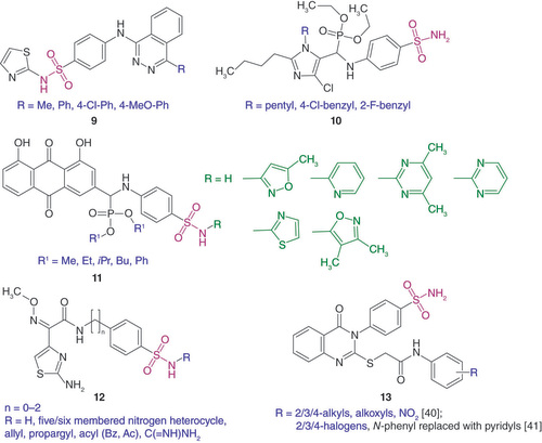 Figure 3. Novel N-mono- and N,N-disubstituted 4-aminobenzenesulfonamides.