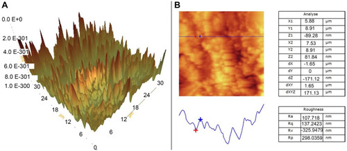 Figure 5 AFM micrograph of GOAS. (A) 3D topography AFM images of nanoparticles; Scale bar, 1 µm, (B) Section analysis of the height profiles of nanoparticles in the 2D AFM images.