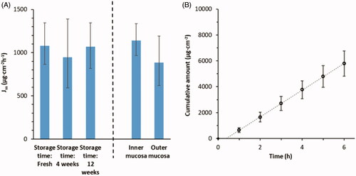 Figure 1. Effects on drug permeability through porcine nasal mucosa from local origin and storage at −80 °C were studied with donor formulations comprising 2.7 wt% Xylometazoline HCl in PBS. (A) Steady-state flux (1–6 h) across mucosa with respect to site of excision and storage time before use. (B) Cumulative amount of Xylometazoline HCl over time through randomly chosen mucosa membranes (n = 24). Bars indicate confidence interval, p = .05.