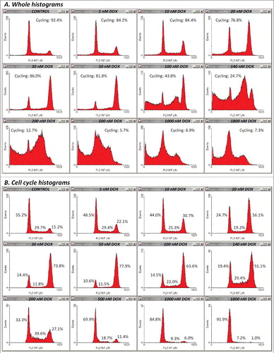 Figure 4. PI fluorescence profiles in the twelve samples discussed in Figures 1–3. (A) Whole histograms were obtained for single-cell events containing both integer and hypodiploid nuclear DNA content (gates R1-R6 “on”, gates R7-R9 “off”). (B) Cell-cycle histograms were constructed by selecting single-cell events with unfractionated DNA only (gates R1-R9 “on”).