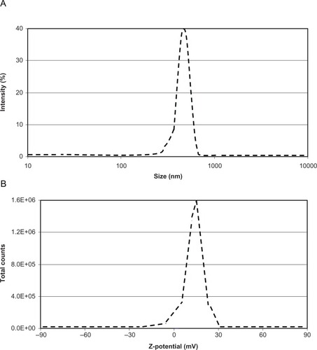 Figure 3 (A) Size distribution and (B) Z-potential analyses of the injected boron nitride nanotube dispersions.