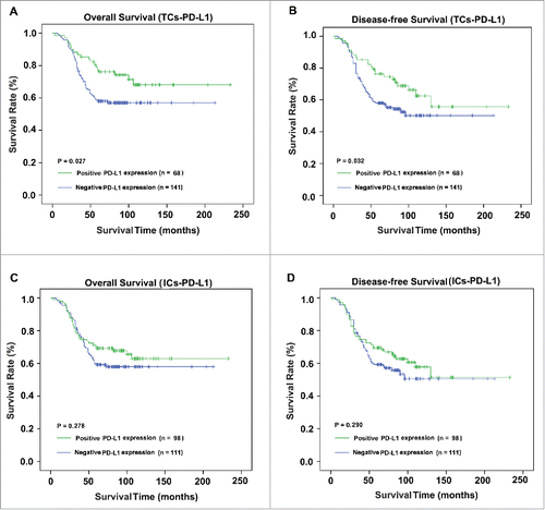 Figure 3. Survival curves of different distributions of PD-L1+ cells. The present study analyzed OS (A and C) and DFS (B and D) based on TCs-PD-L1 and ICs-PD-L1.