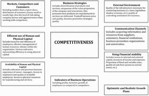 Figure 1. Determinants of business competitiveness.Source: The author, based on a review of entrepreneurship literature.
