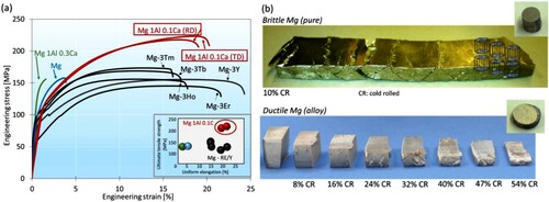 Figure 14. (a) Engineering stress-strain curves of the discussed Mg-Al-Ca alloy in comparison with not engineered (other than simple homogenisation treatment) solid solution Mg-Y, Mg-RE, pure Mg and Mg-Al-0.3Ca [Citation141]. The inset shows the ultimate tensile strength – uniform elongation diagram of the same alloys displaying the superior mechanical properties of the alloy developed using the YSI. RD: rolling direction; TD: transverse direction. Compositions are in weight %. (b) Pure Mg fractured along macroscopic shear bands when cold rolled to 10% thickness reduction whereas Mg–1Al–0.1Ca could be cold rolled to 54% thickness reduction in several rolling passes of 8% thickness reduction per rolling pass; small sheet sections cut from the rolled sheet after each consecutive rolling pass are presented. From [Citation141], published under a Creative Commons Attribution 4.0 International License by Springer Nature.