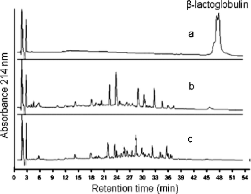Figure 2 Reverse-phase-HPLC chromatograms from β-lactoglobulin digested by chymotrypsin for 20 minutes under several conditions. (a) undigested protein, (b) conventional heating, at 40°C and (c) microwave irradiation, 15W.