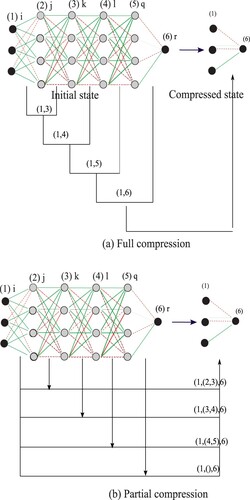 Figure 7. Compression from a multi-layered network to the corresponding simplest network in full (a) and partial (b) way.