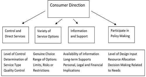 Figure 1. Conceptualisation of consumer direction [Citation17].