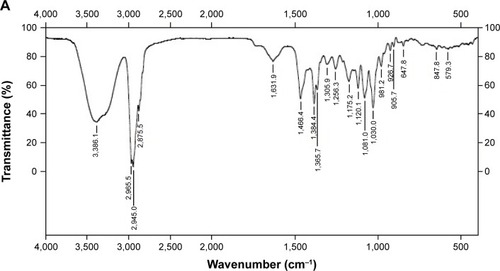 Figure 4 Infrared radiation of 25-OCH3-PPD (A), phospholipid (B), physical mixture (C), and complex (D).