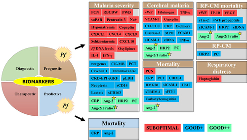 Figure 5. Biomarkers evaluated for severe Pf-SM.