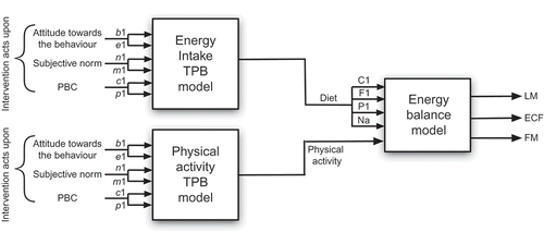 Figure 8. The dynamical model for behavioural interventions integrates the energy balance model described in Section 2.2 and the dynamic fluid analogy for the TPB described in Section 3.2.