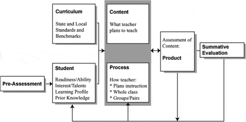 Figure 1. The responsive character of differentiated instruction (Hall et al., Citation2006)